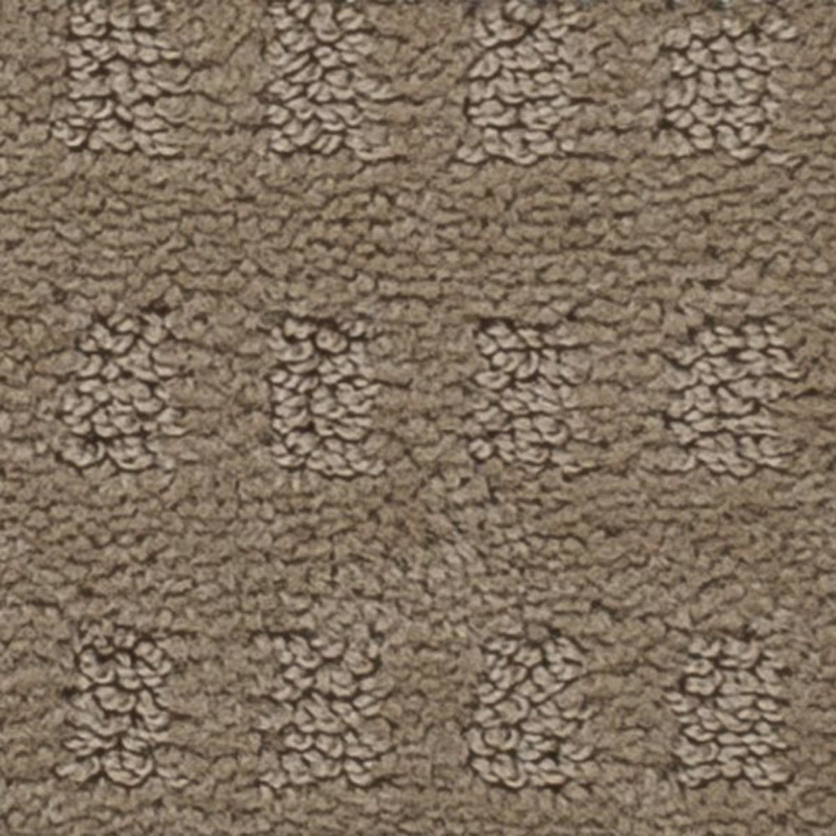 Pacific Heights carpet in River Rock 305