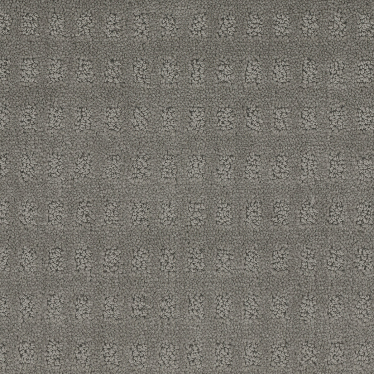 Pacific Heights carpet in Silver Lining 825