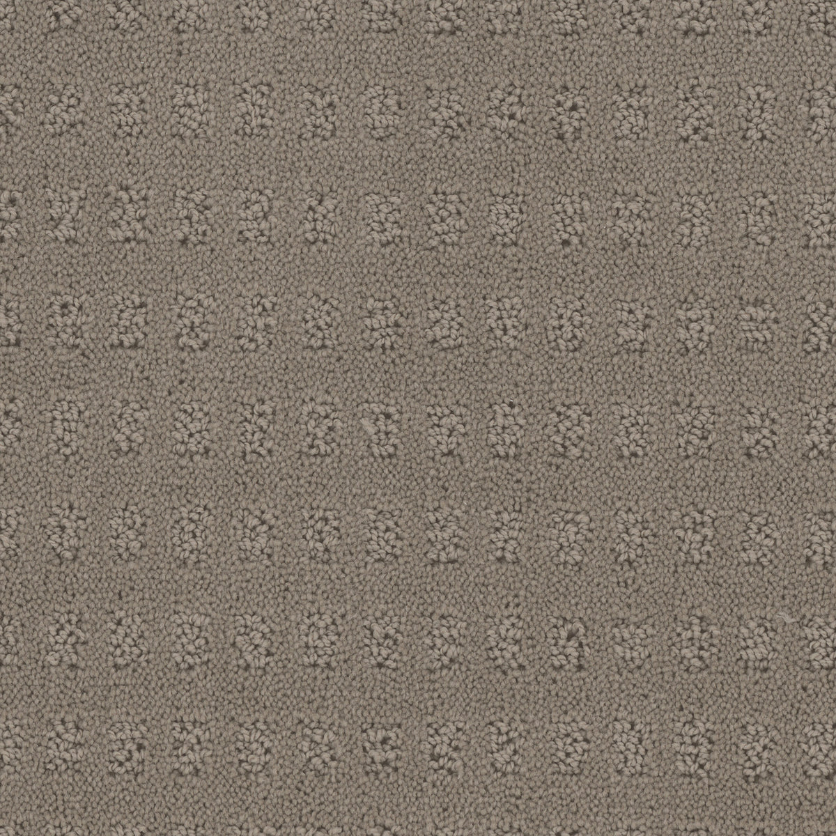 Pacific Heights carpet in Travertine 725