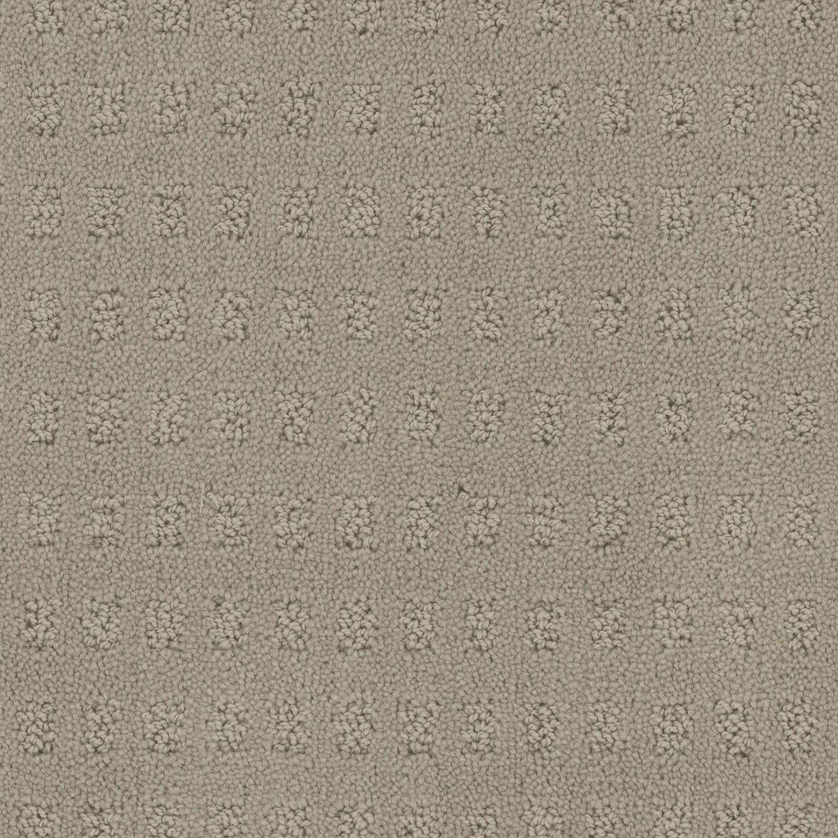 Pacific Heights carpet in Weathered 736