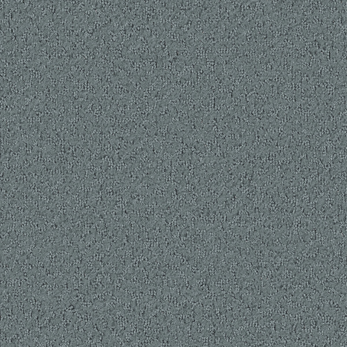 Promenade carpet in Cloudy Day 821