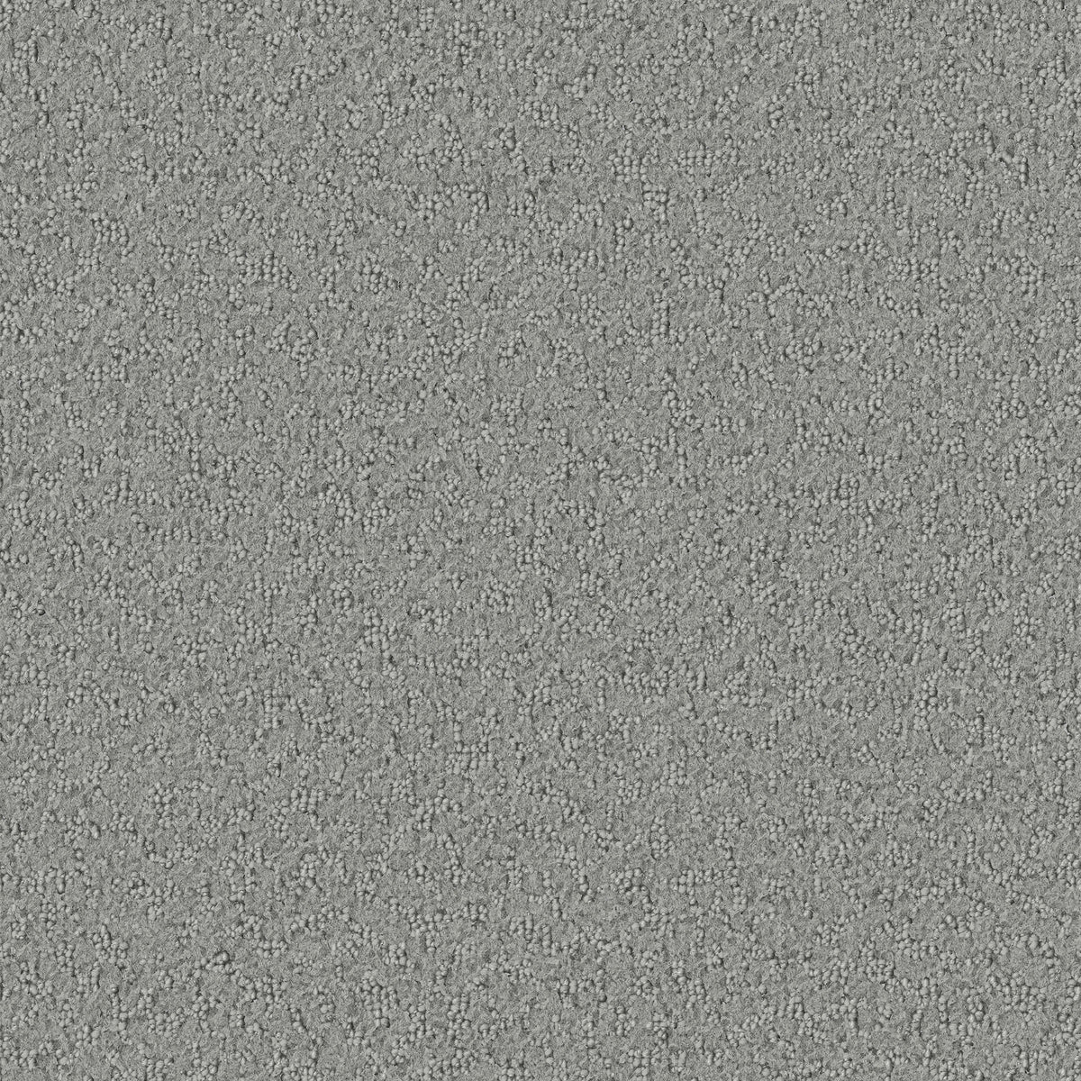 Promenade carpet in Nickel 809
