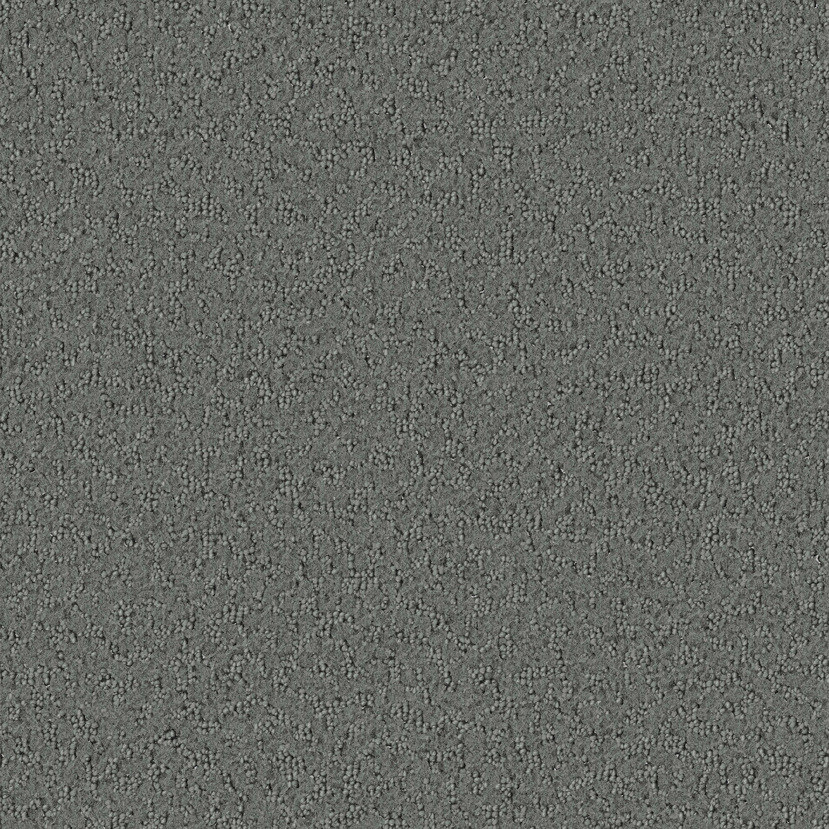 Promenade carpet in Silver Lining 825