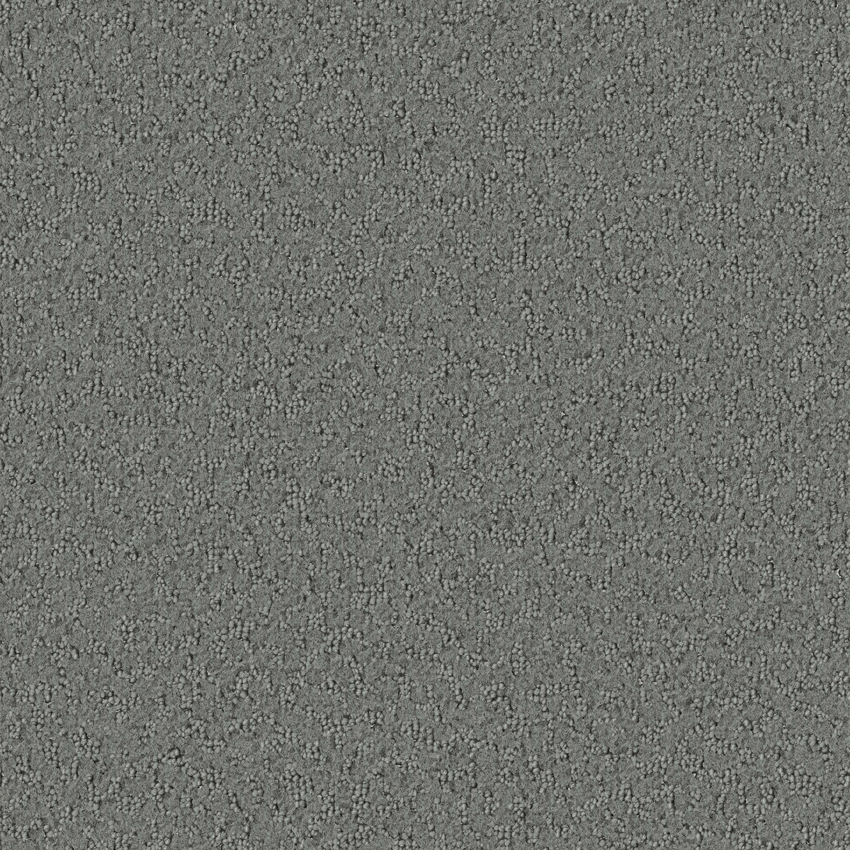 Promenade carpet in Slate 808