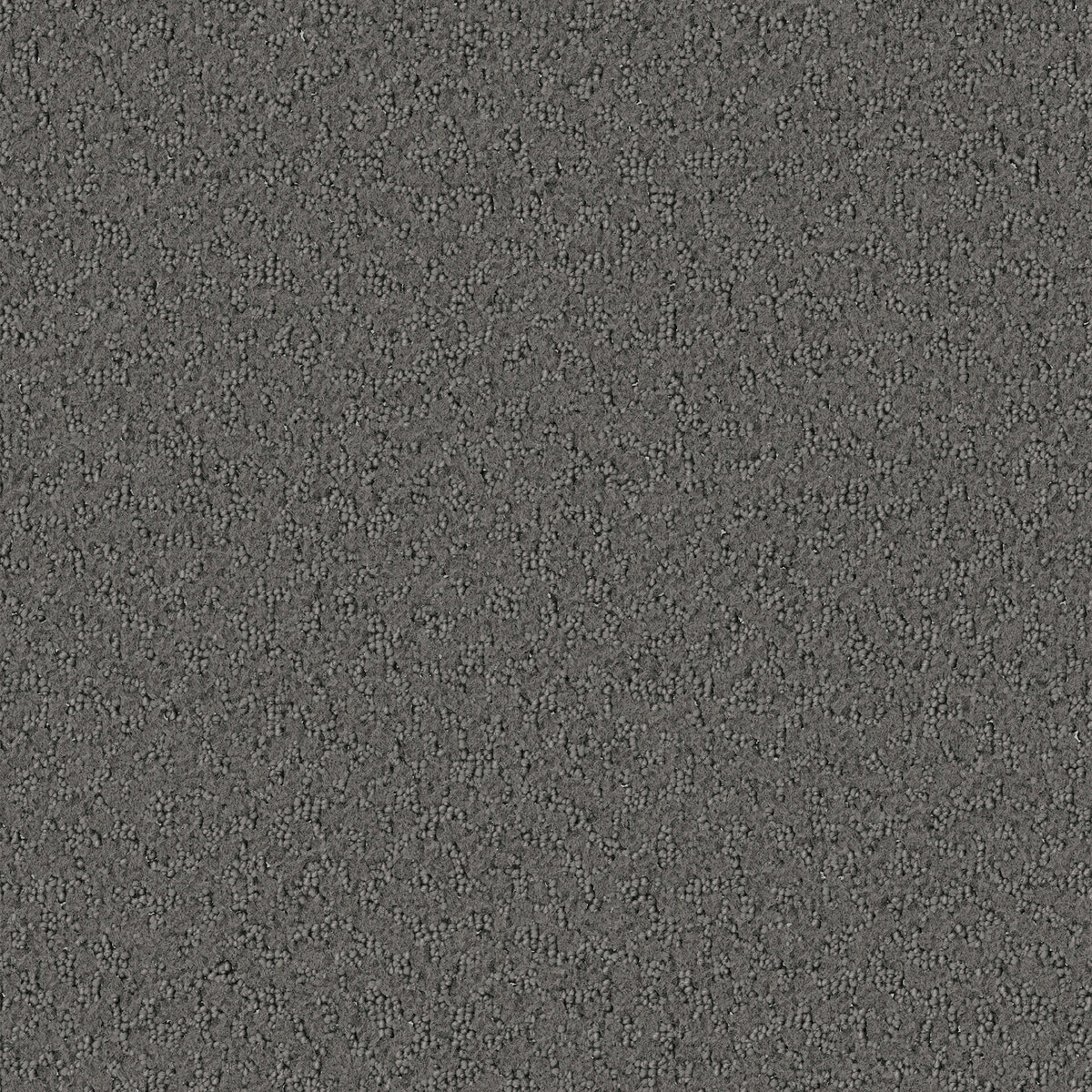 Promenade carpet in Stone 824