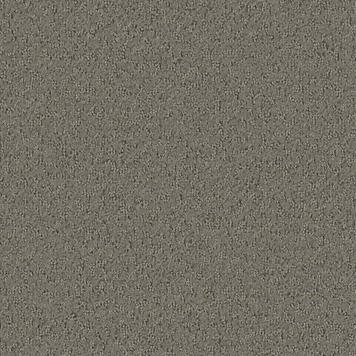 Promenade carpet in Travertine 725