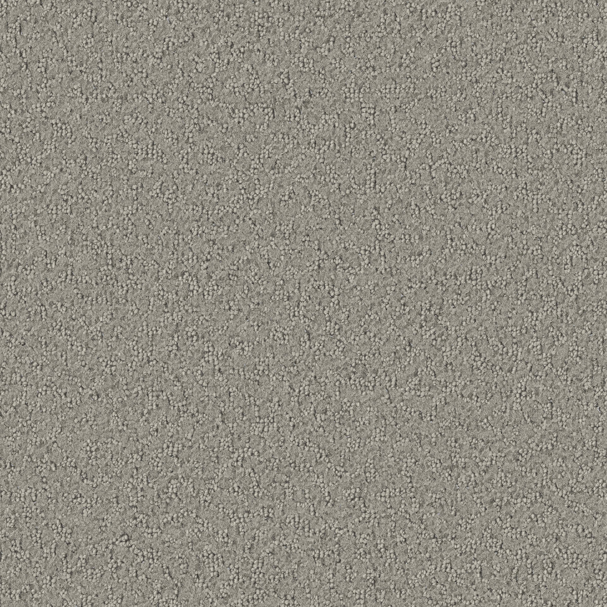 Promenade carpet in Weathered 736