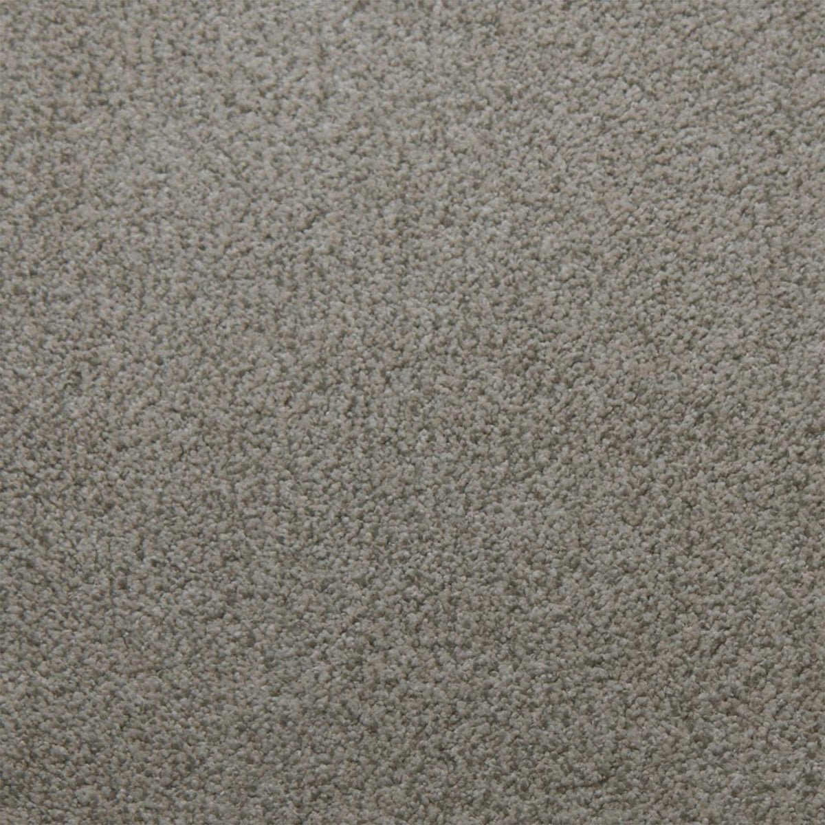 Soft Spoken carpet in Assurance 13370