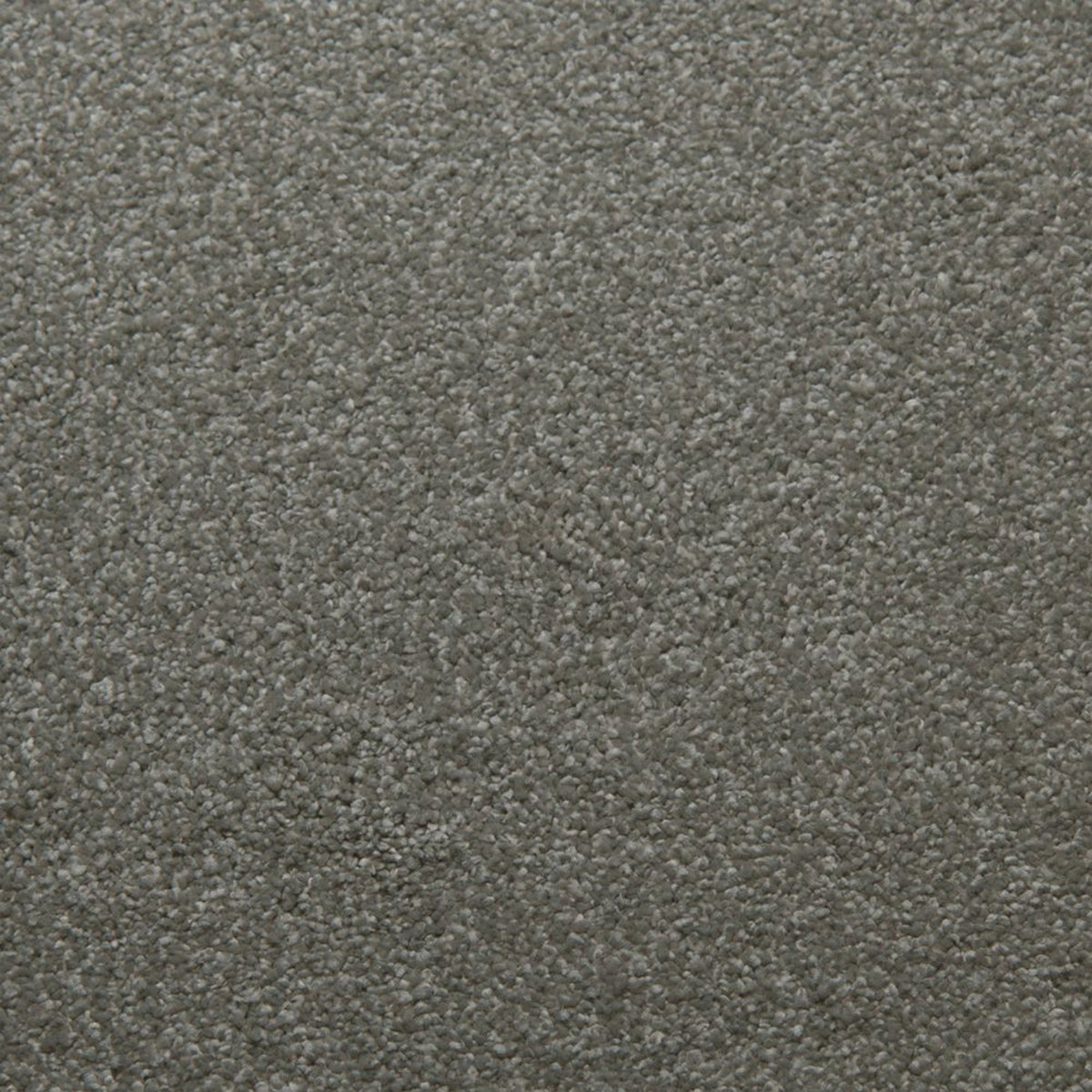 Soft Spoken carpet in Balance 13380