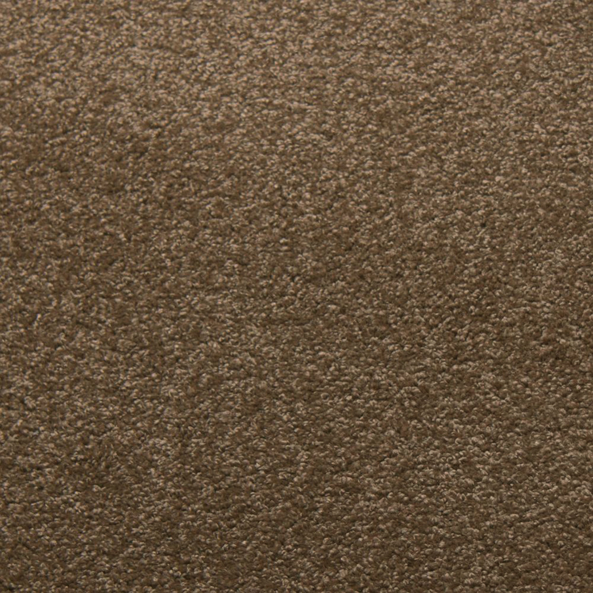 Soft Spoken carpet in Buff 50338