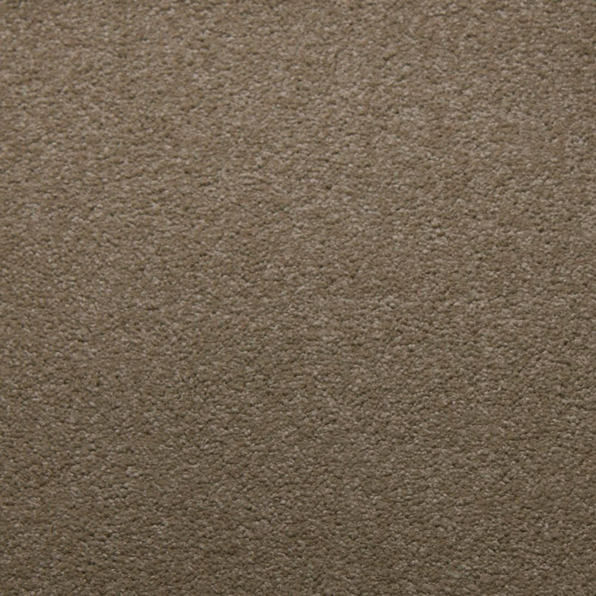 Soft Spoken carpet in Canvas 50339