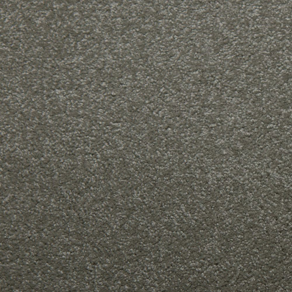 Soft Spoken carpet in Chrome 50814
