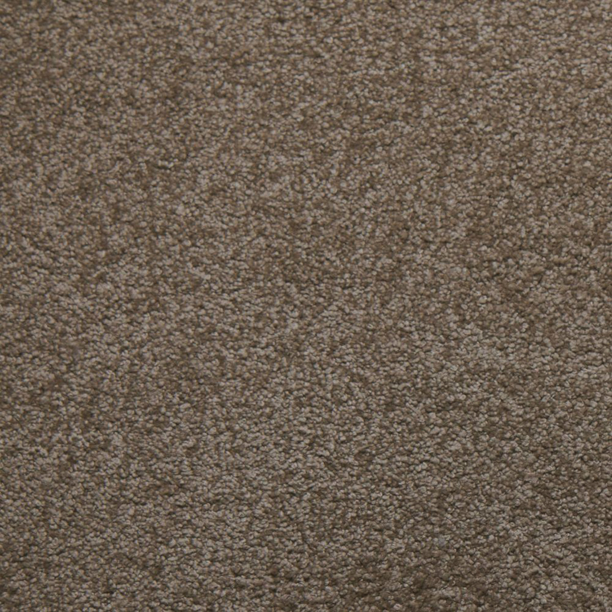 Soft Spoken carpet in Composure 13500