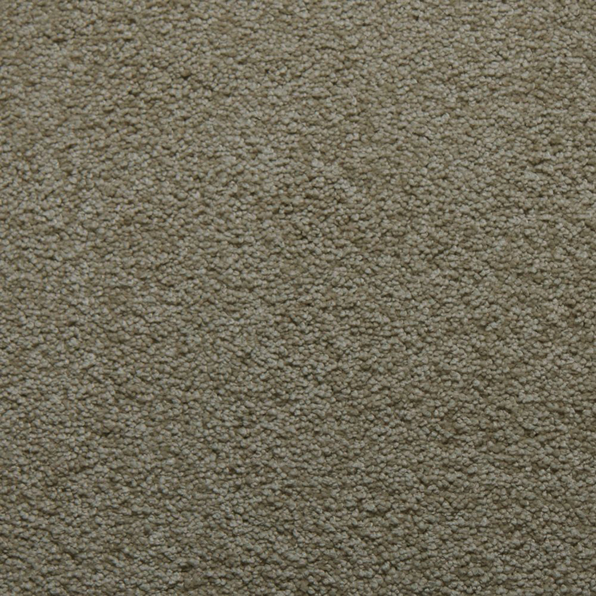 Soft Spoken carpet in Crystalline 50104