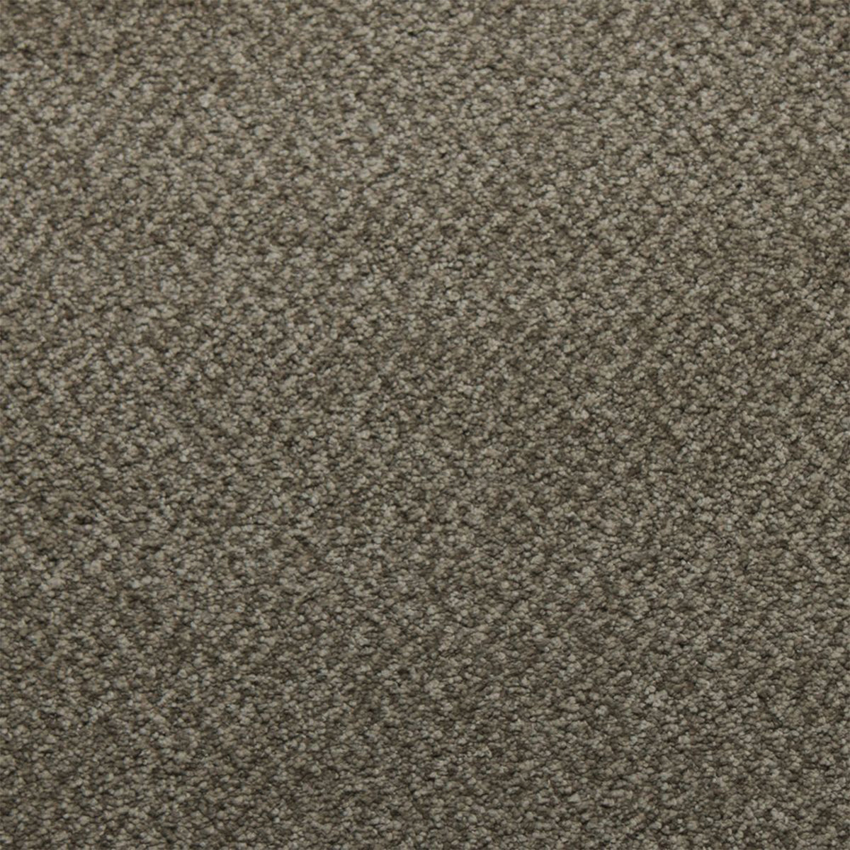 Soft Spoken carpet in Fortitude 13360