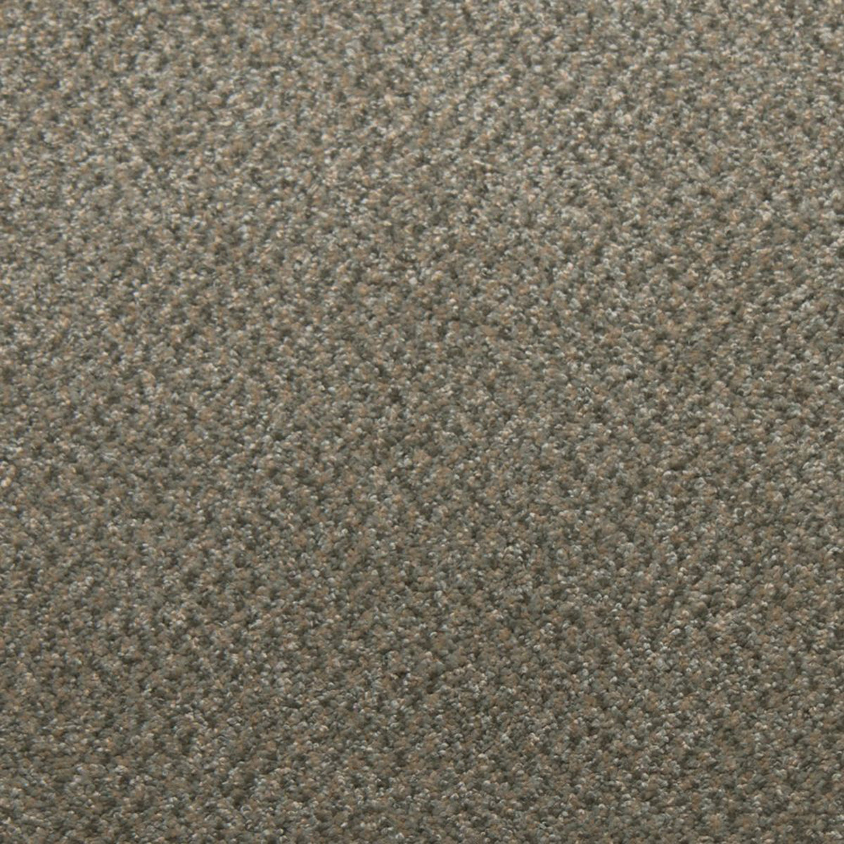 Soft Spoken carpet in Jasper 13340