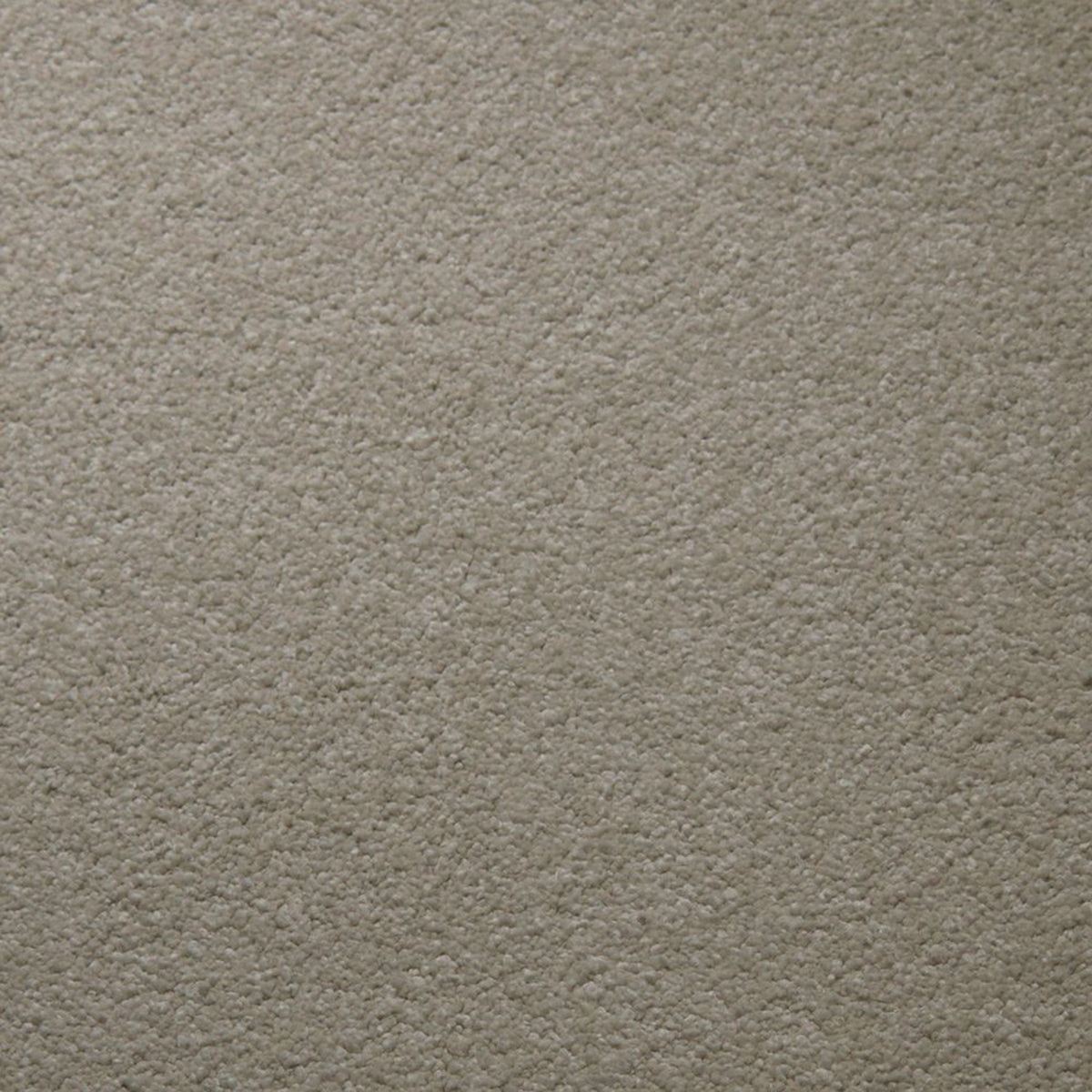 Soft Spoken carpet in Pearl 50105