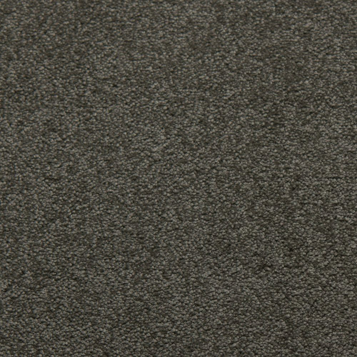 Soft Spoken carpet in Platinum 50813
