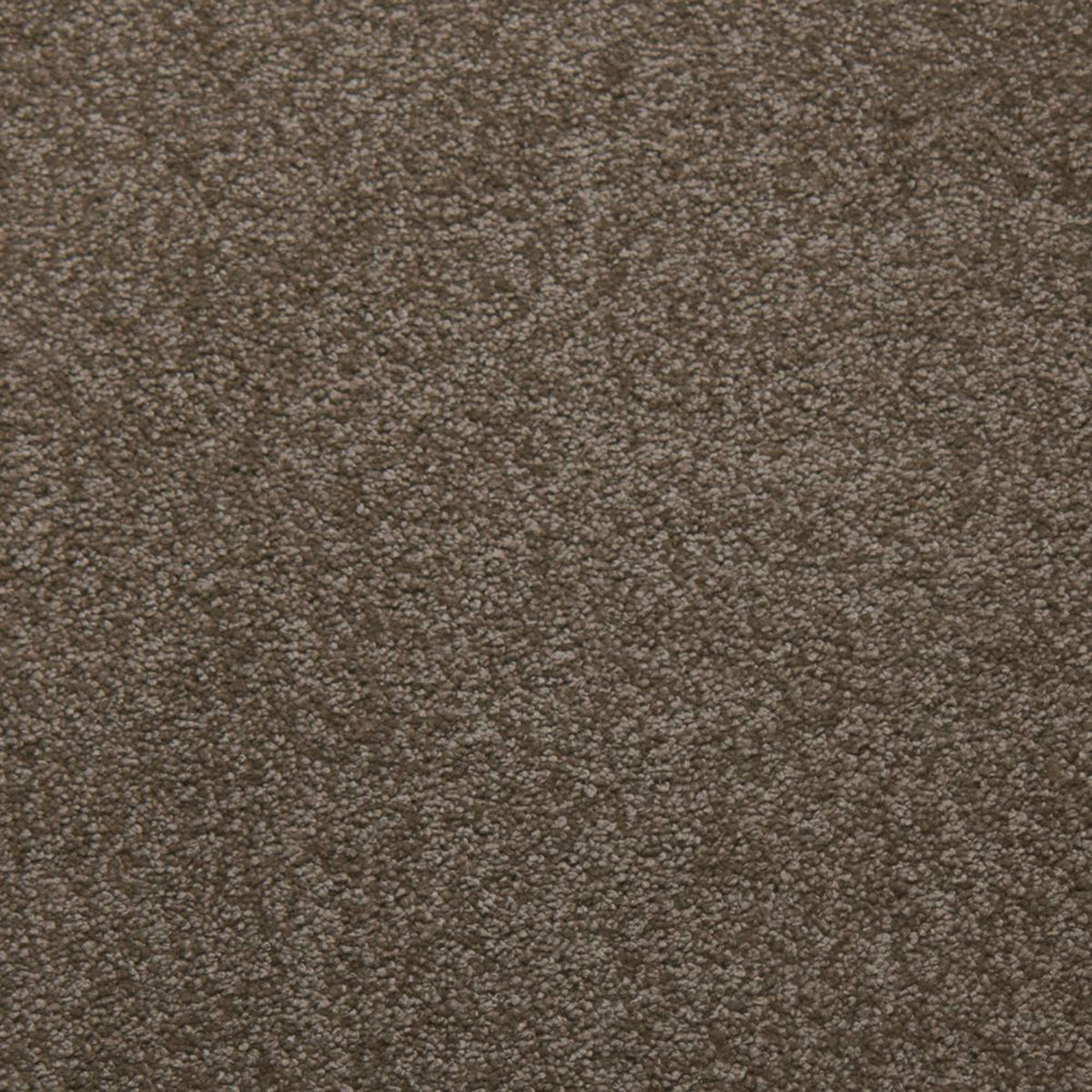 Soft Spoken carpet in Suede 50346