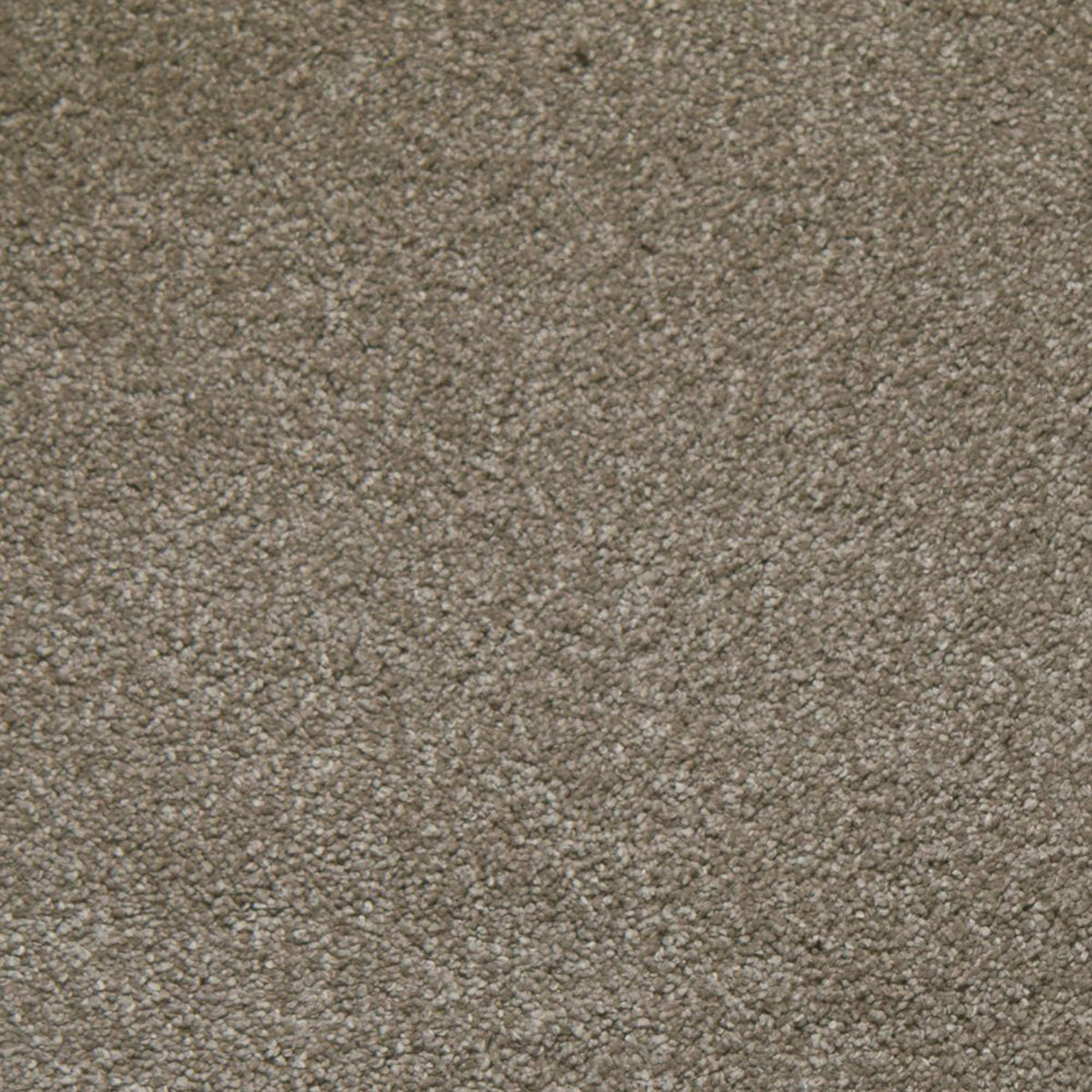 Soft Spoken carpet in Symmetry 13350