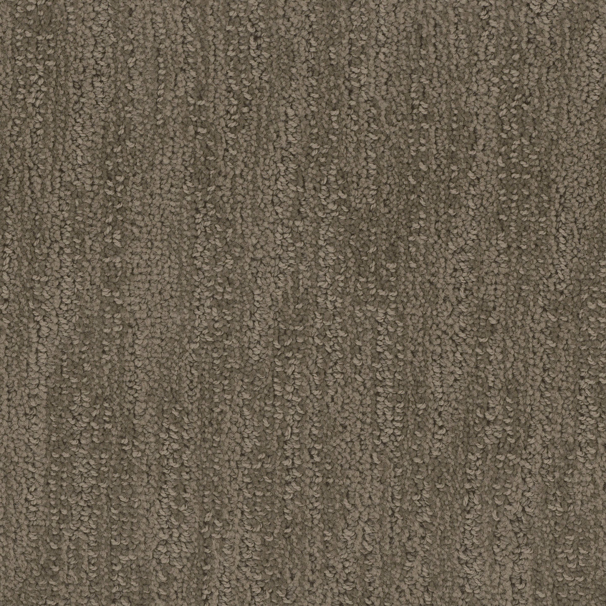 Tucson carpet in Tranquility 4180