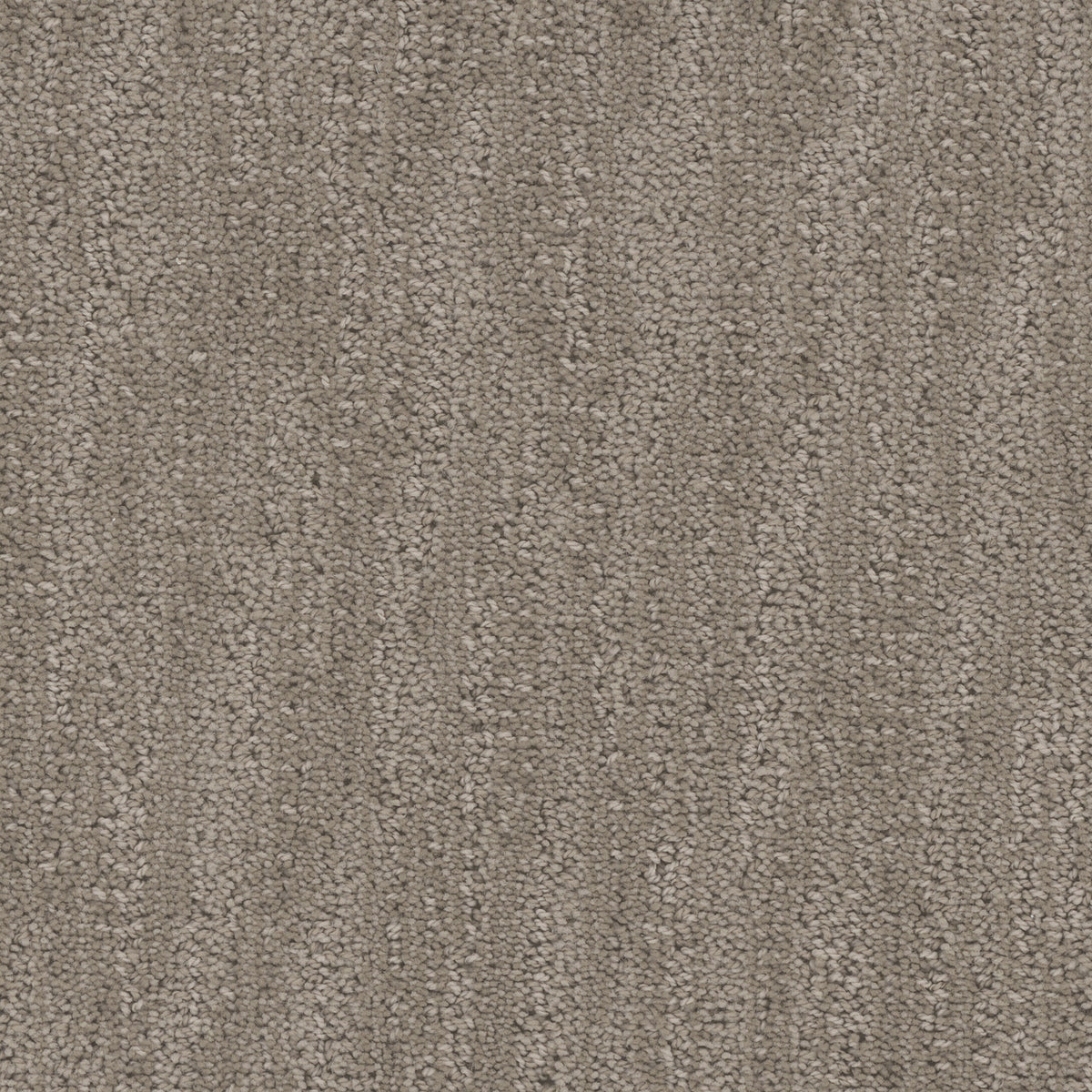 Tucson carpet in Abalone 1909