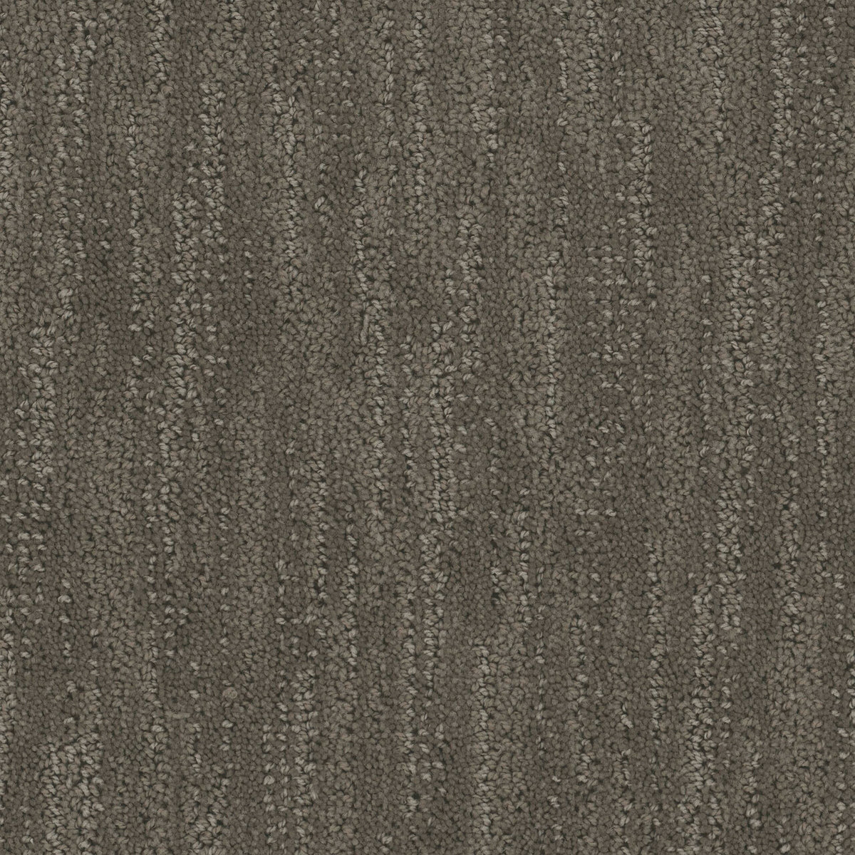 Tucson carpet in Mink 1907