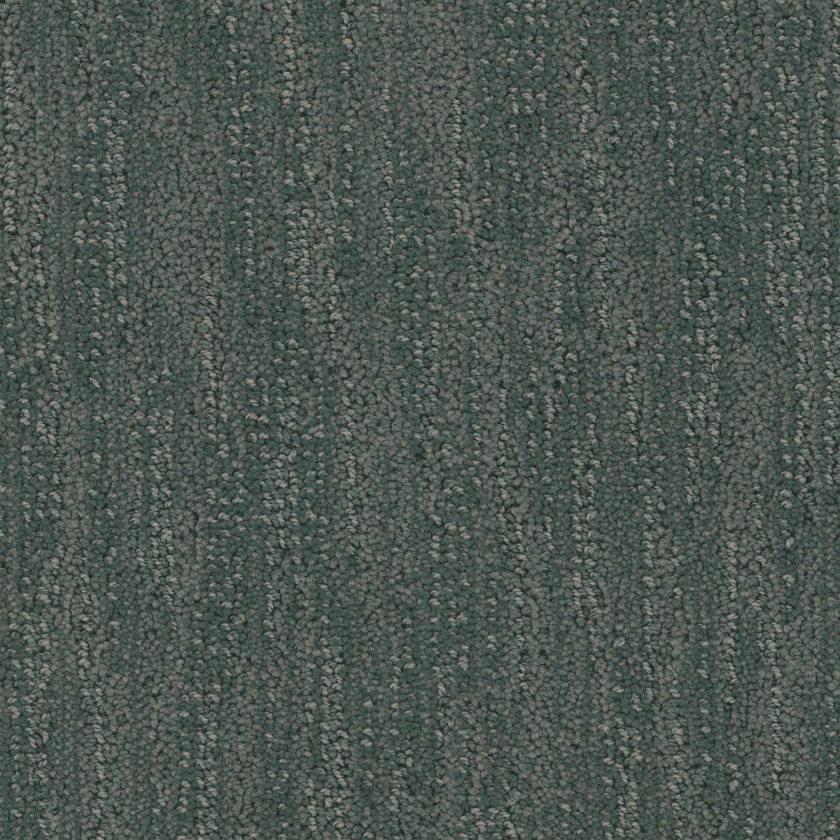 Tucson carpet in Solitude 1905