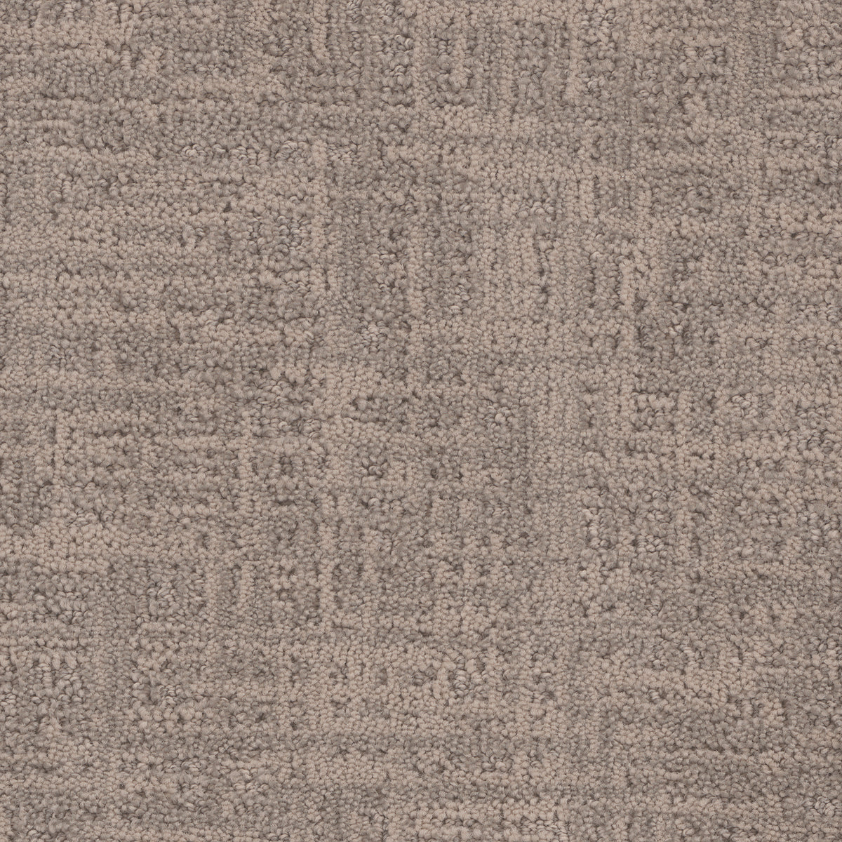 Verona carpet in Parchment 1904