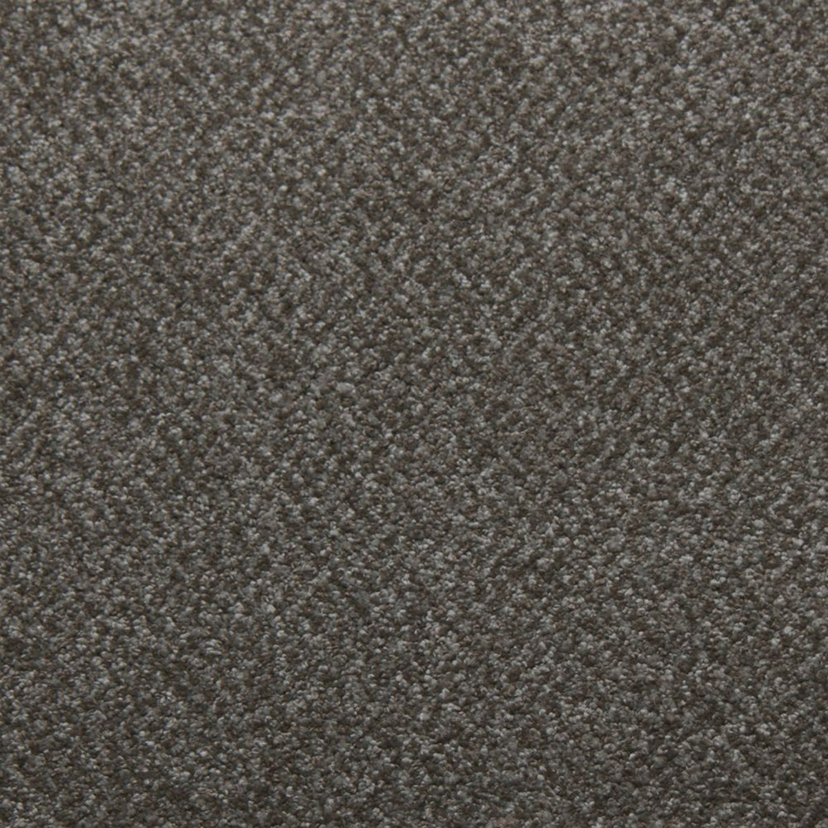 Whisper carpet in Bliss 13320