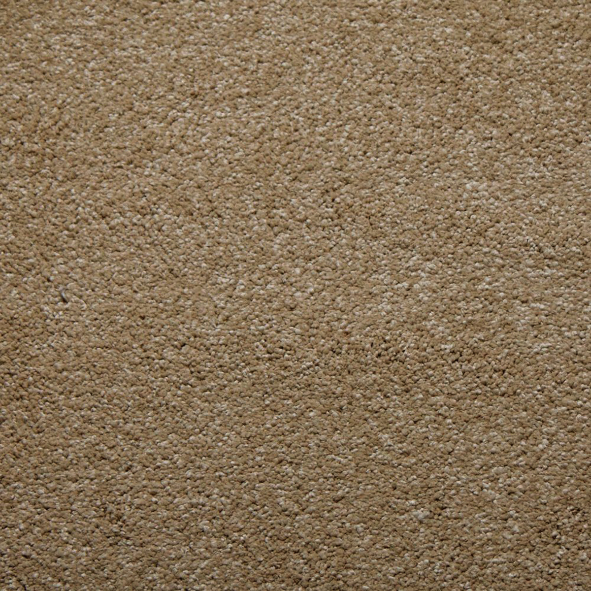 Whisper carpet in Camel 50341