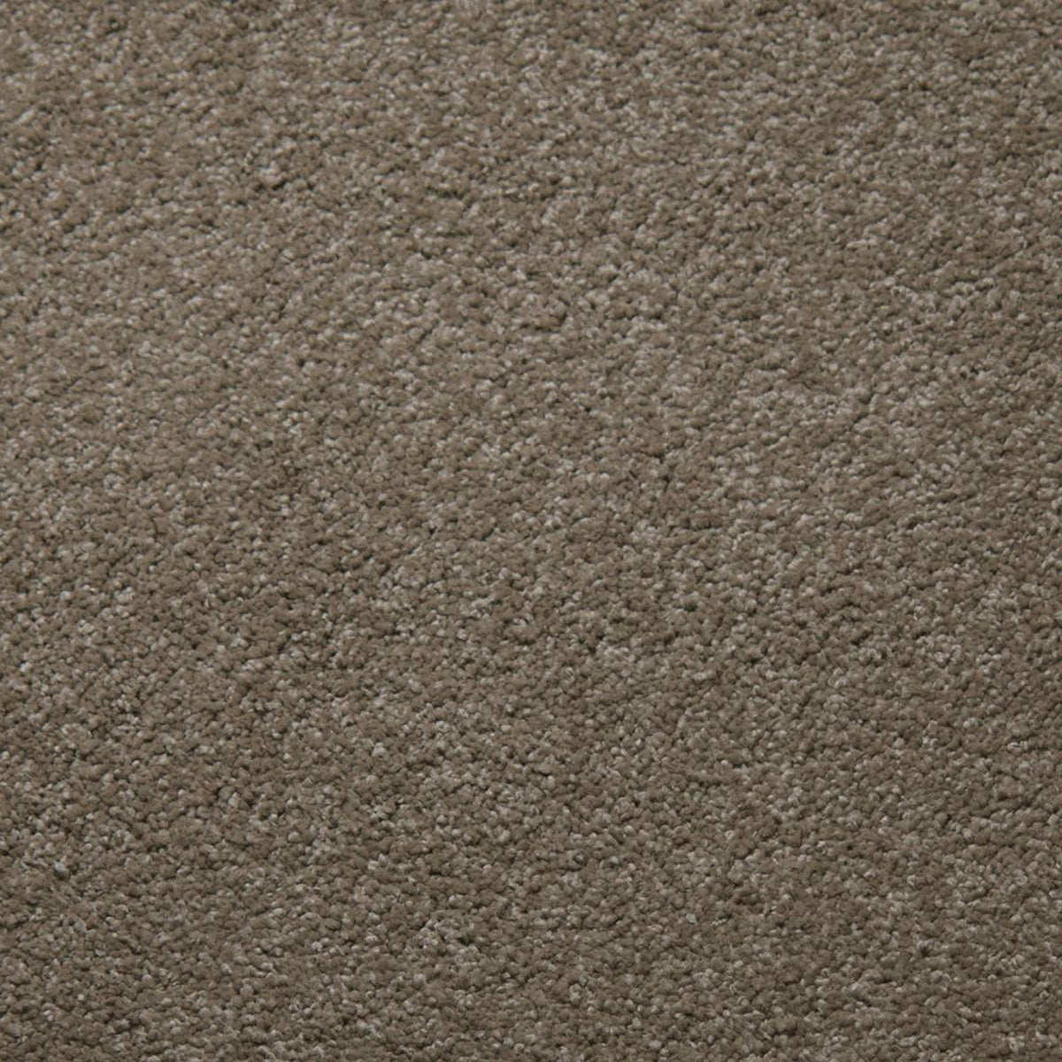 Whisper carpet in Clay 50724