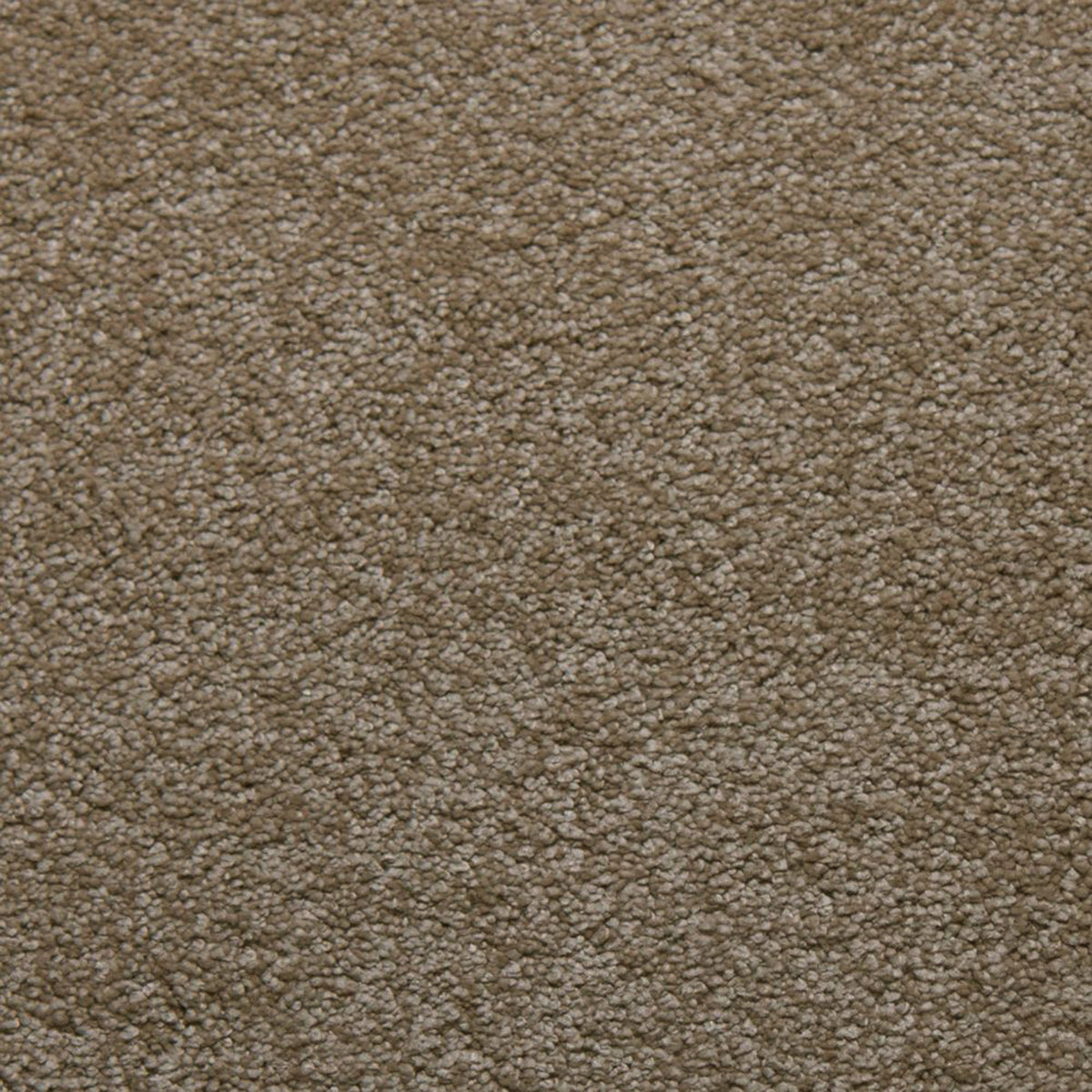 Whisper carpet in Ecru 50340