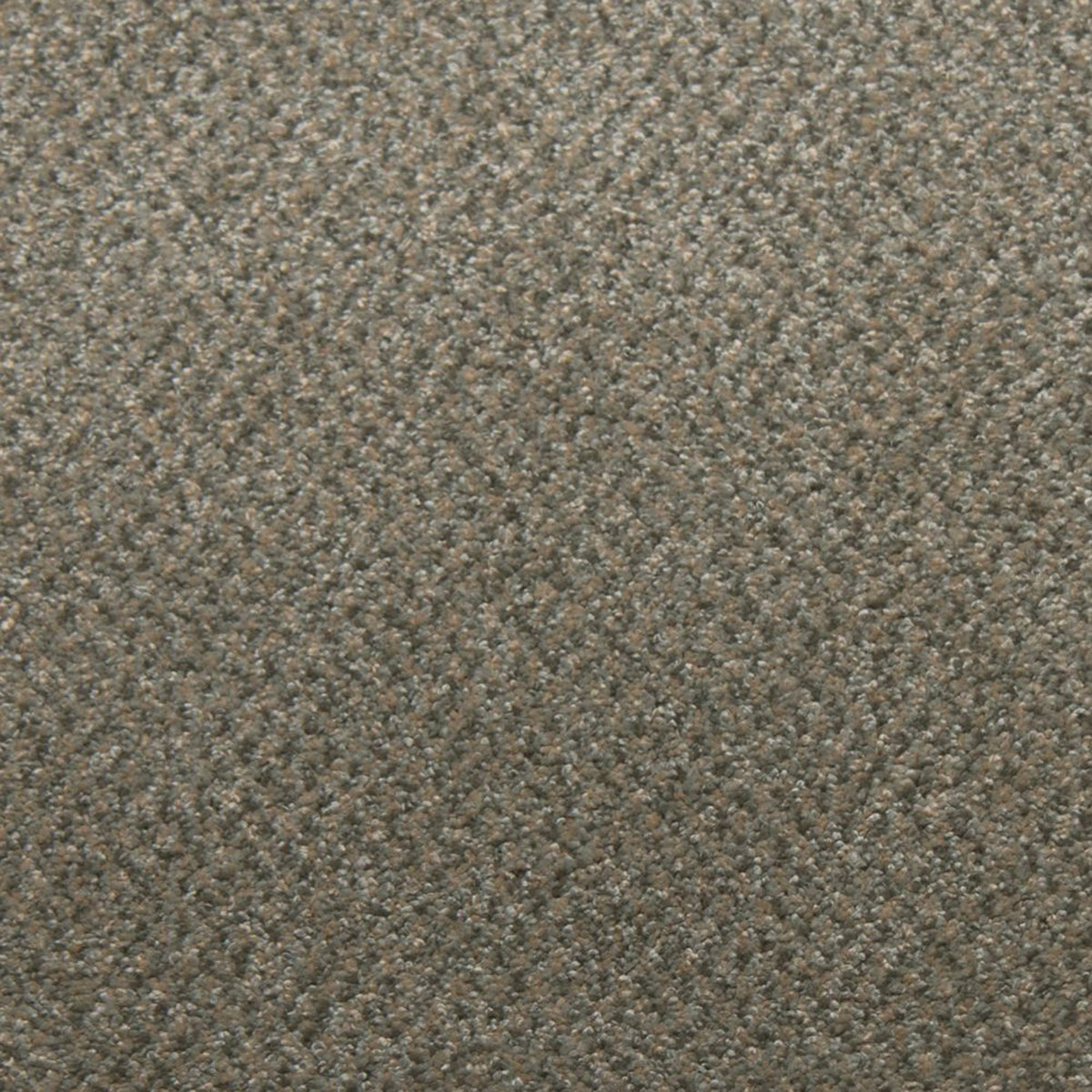 Whisper carpet in Jasper 13340