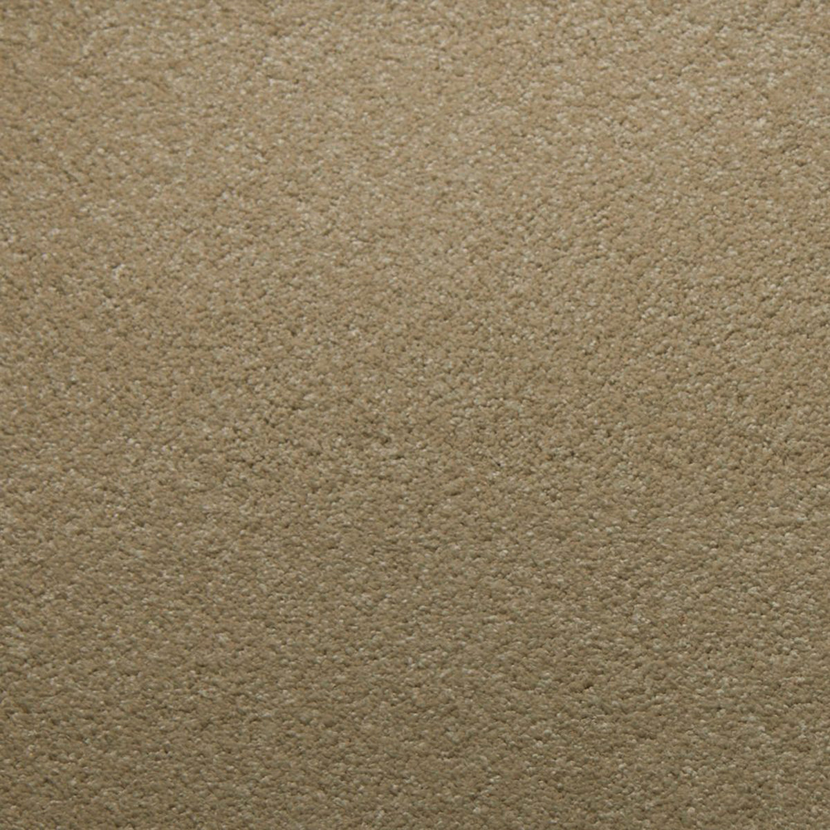 Whisper carpet in Moonstone 50342