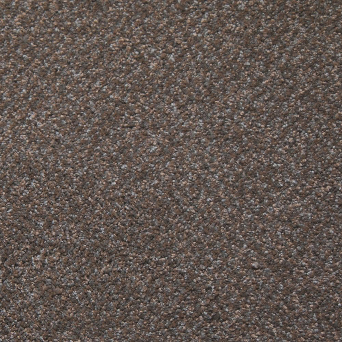 Whisper carpet in Patience 13300
