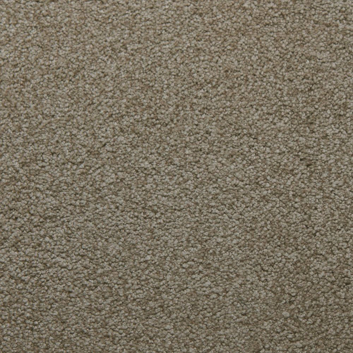 Whisper carpet in Perseverance 13390
