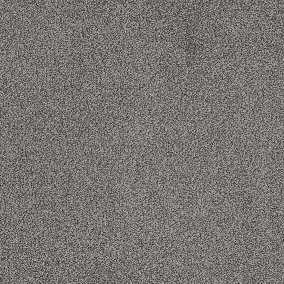 Whisper carpet in Platinum 50813