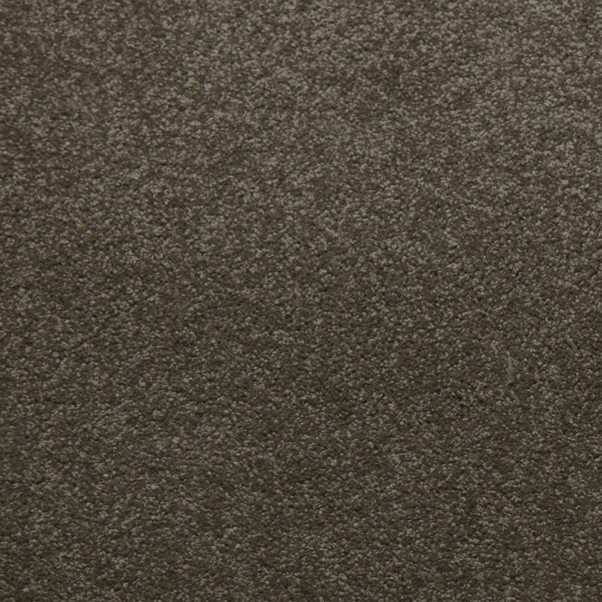 Whisper carpet in Stonebriar 50727