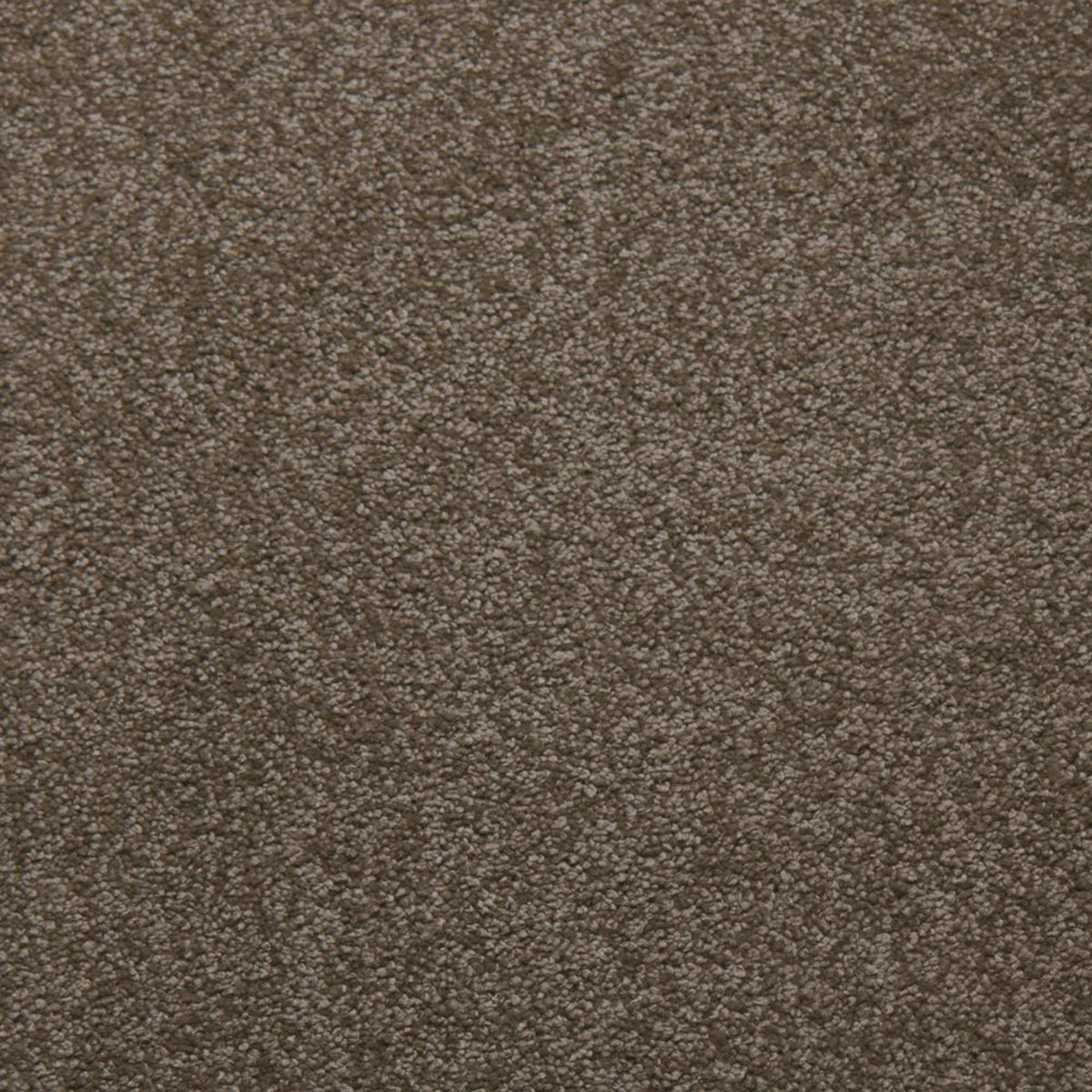 Whisper carpet in Suede 50346