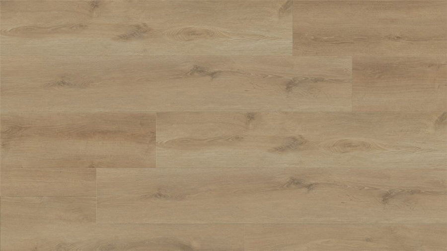 Darlington Luxury Vinyl Glue-Down Vinyl Flooring
