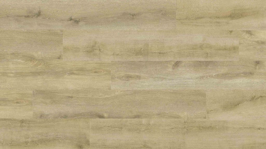 Harrow Luxury Vinyl Glue-Down Vinyl Flooring