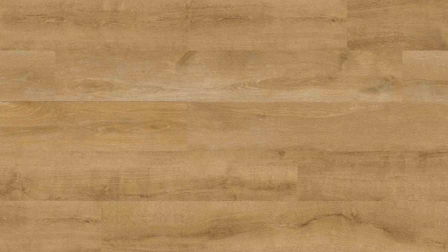 Norwich Luxury Vinyl Glue-Down Vinyl Flooring