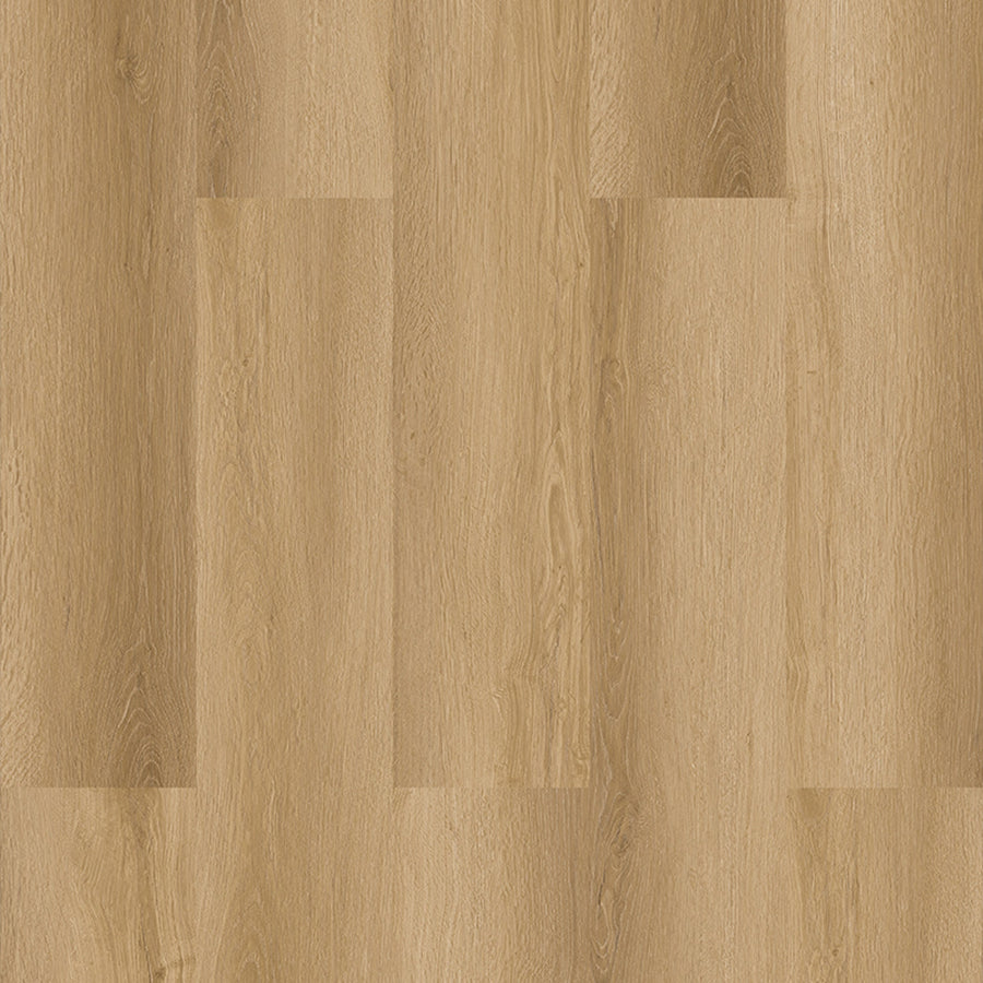 Vizion Marvelous 8 Banff 8mm SPC Vinyl Plank 7.2x60.8
