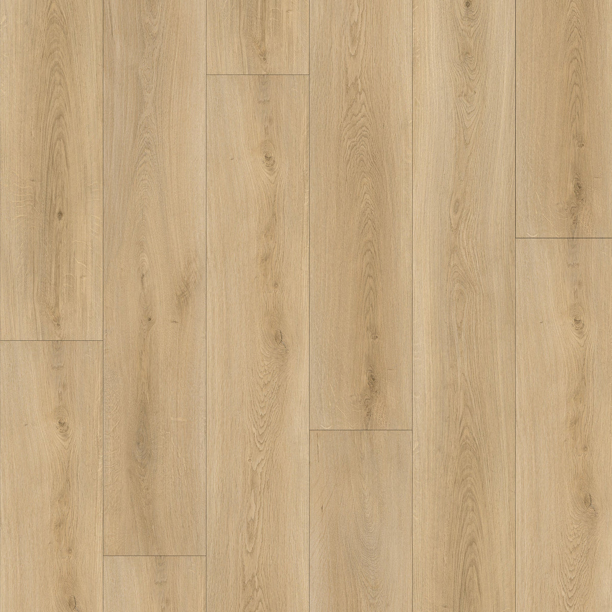 Vizion Marvelous 8 Forillon 8mm SPC vinyl plank 7.2x60.8