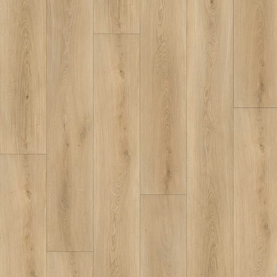 Vizion Marvelous 8 Forillon 8mm SPC Vinyl Plank 7.2x60.8