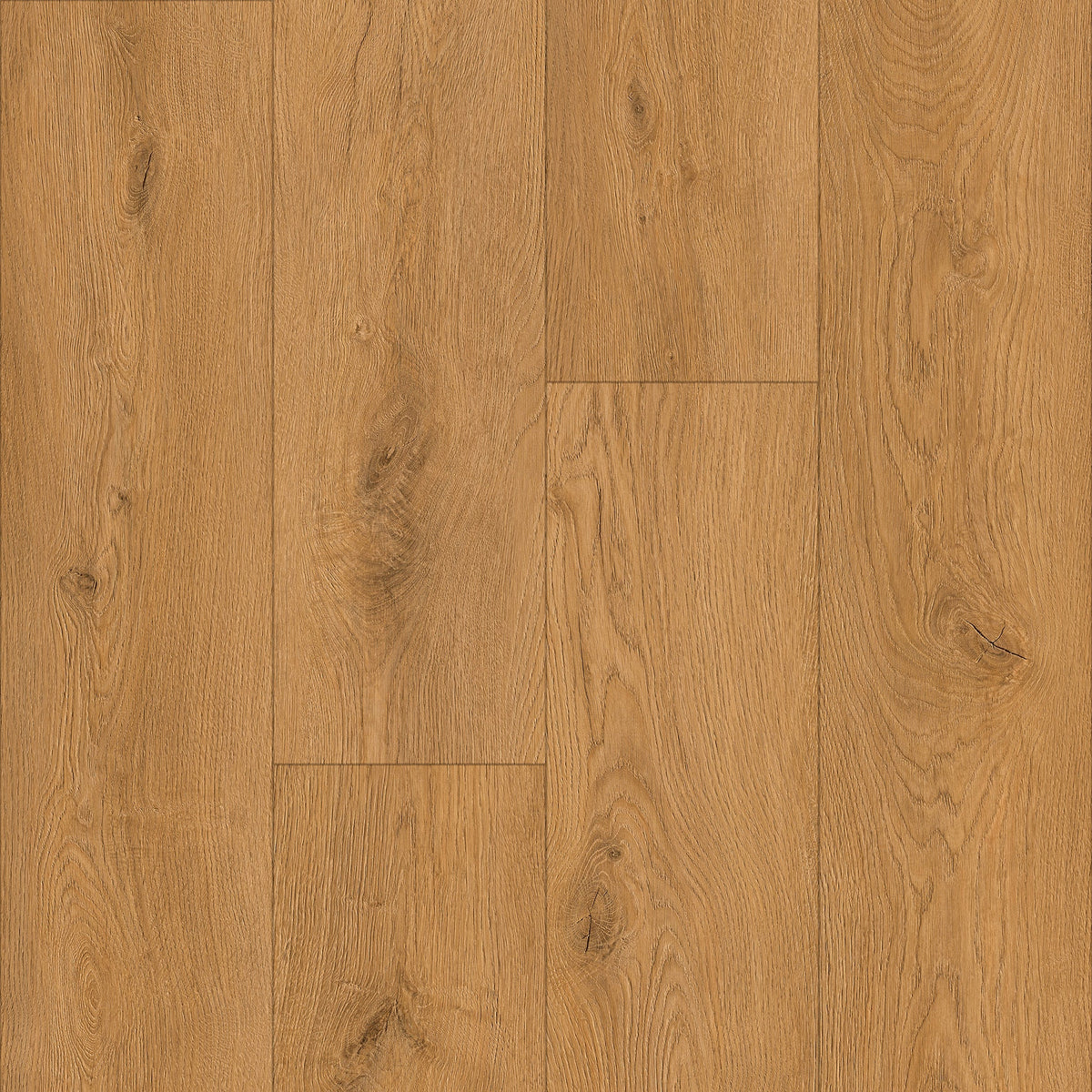 Vizion Marvelous 8 Terra Nova 8mm SPC vinyl plank 7.2x60.8