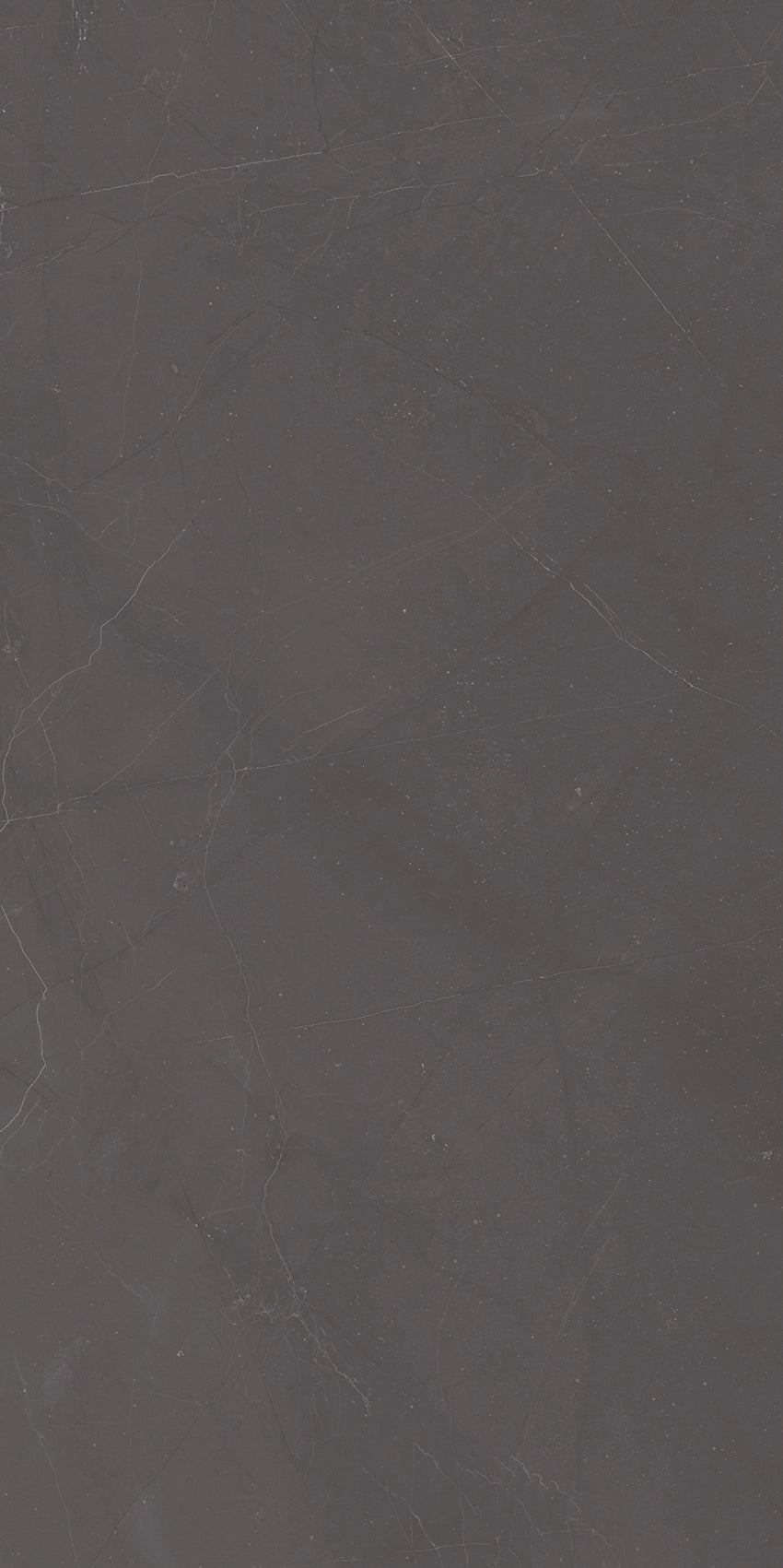 Walk Graphite Porcelain Tile