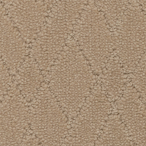 Windham carpet in Majestic 111