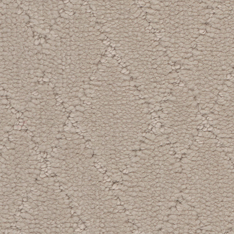 Tarkett Windham PET Carpet